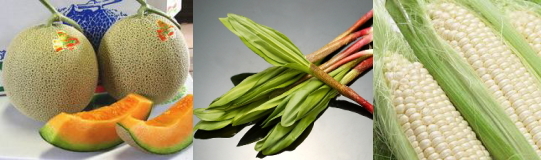 北海道の果物・野菜・山菜
