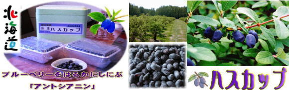 �n�X�J�b�v�̔̔�