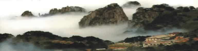 中国茶産地