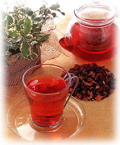 夏のバテ防止に五味子茶がオススメ